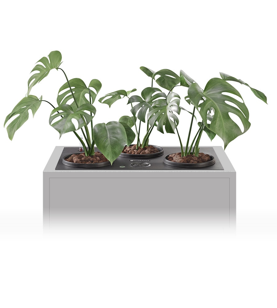 Florafilt_Explorer_eingebaut