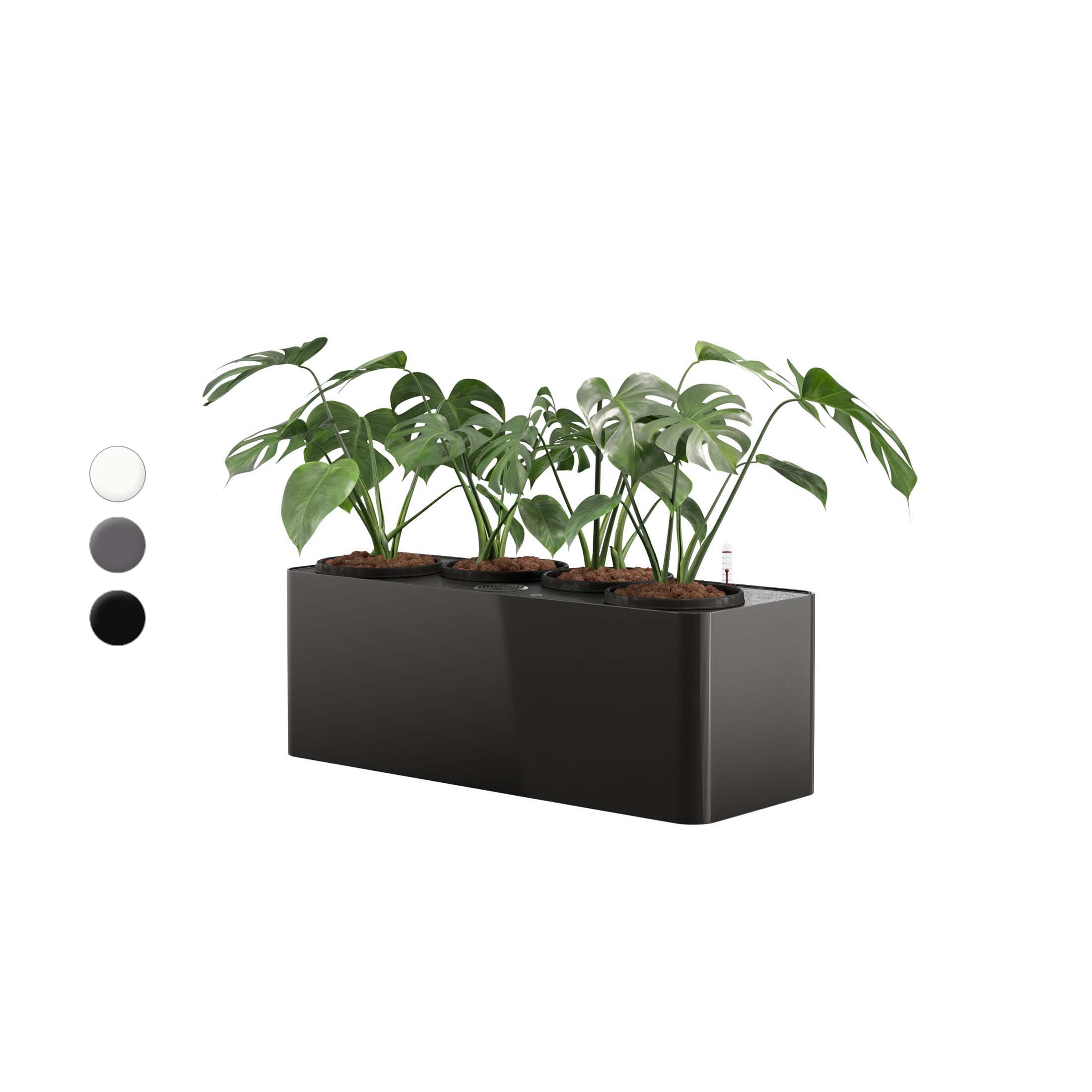 PIONEER_FLORAFILT